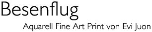 Titel: &laquo;Besenflug&raquo;