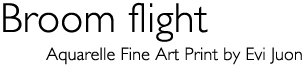 Title: &laquo;Broom flight&raquo;